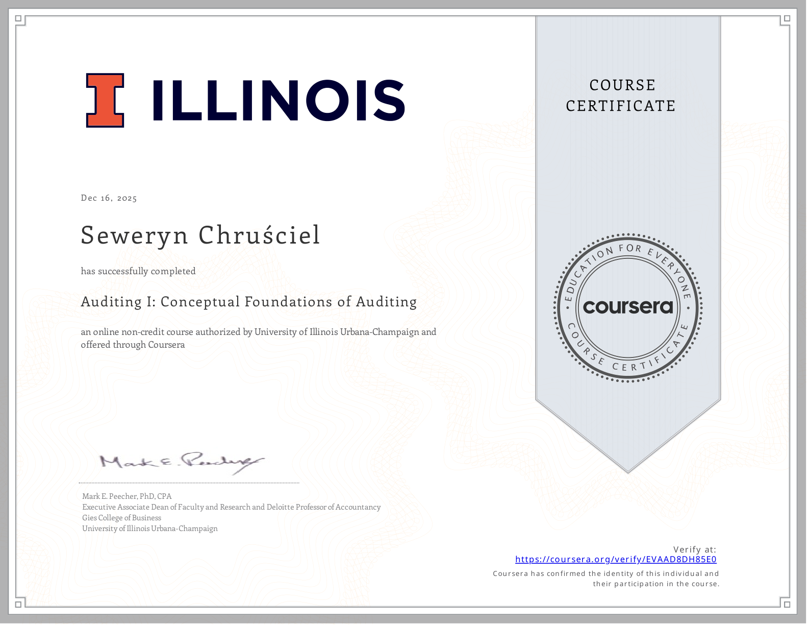 University of Illinois Auditing
